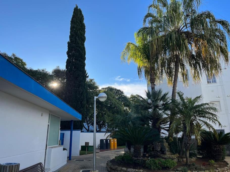 Apartamento En Costa Ballena, Urb. Playa Ballena Cádis Exterior foto