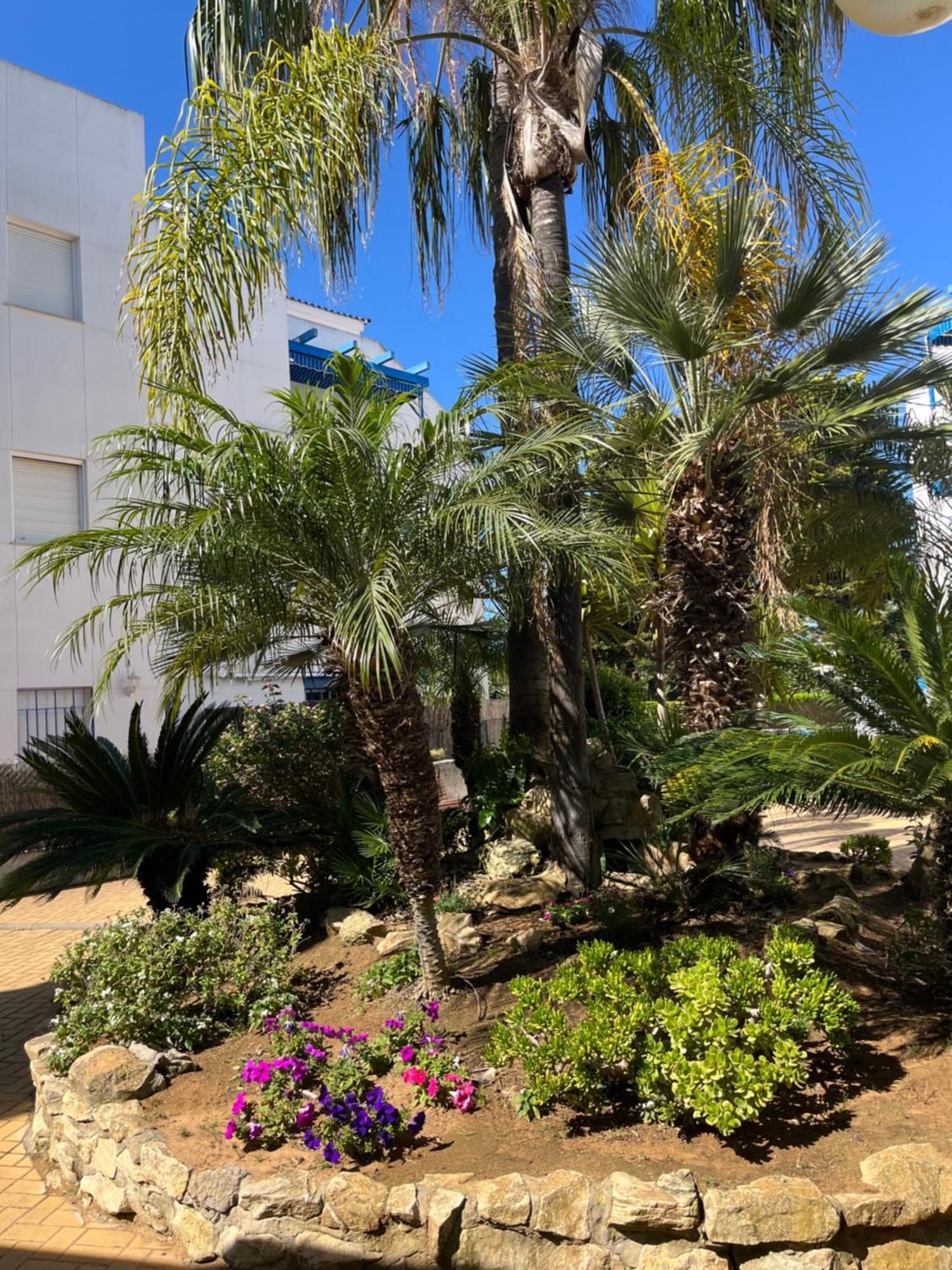 Apartamento En Costa Ballena, Urb. Playa Ballena Cádis Exterior foto